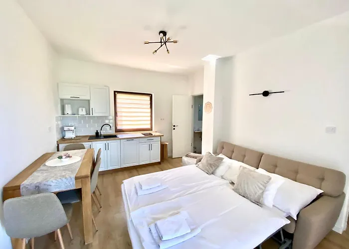 Boraszporta Kishaz *