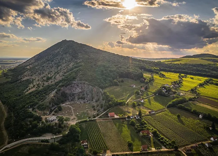 Boraszporta Kishaz * Villány